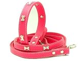 Collar and Leash - Metallic Bones Collar and Leash in Pink
