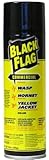 Black Flag