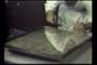 U.S. Constitution Historical Document Preservation [DVD] - The Sealing of The United States Constitution