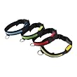 Adjustable LED Illumination Pet/Dog Collar * 4, Medium, (Blue Green Red Yellow) Adjustable LED Illumination Pet/Dog Collar * 4, Medium, (Blue Green Red Yellow)