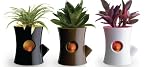 Qualy Log & Squirrel Planter
