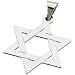 14Kt White Gold Star of David Gold Pendant
