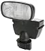 Designers Edge L-951 Motion Activated Halogen Solar Flood Light Model