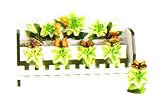BUTTERFLY 3-D Majolica Spice Rack & Jars *NEW*
