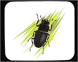 Mouse Pad with bug, insect, beetle, stag