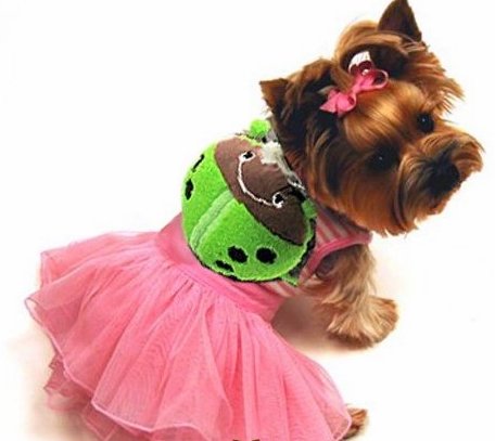 How's Your Dog Ladybug Harness / Backpack + Leash Set - Lime