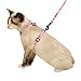 Cat Harness & Lead Set - Savvy Tabby Pink Camo Pet Harness w/Matching Lead