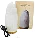 Natures Artifacts - Lamps From Around The World Natural Selenite Lamp Medium