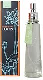 �u���[�� �I�u ���[�^�X �t���O�����X���[���X�v���[ �W���X�~�� 100ml