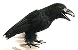 Season s Designs Halloween Decor 8 Plastic Crow with Feathers