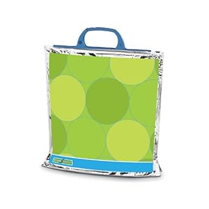 SCHWAN'S LUNCH TO GO BAGS