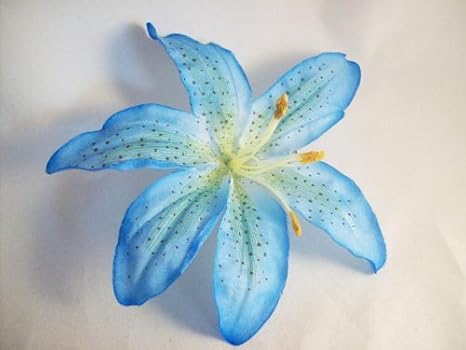 Blue Tiger Lily Flower
