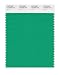 PANTONE SMART 16-5938X Color Swatch Card, Mint