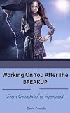 41 X8mfOGtL. SL160  Working on you After the Breakup. From Devastated to Recreated (Starting a New Relationship with your Ex; Winning them Back and Beyond) Reviews