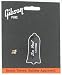 Gibson Truss Rod Cover with Screws - Les Paul Custom