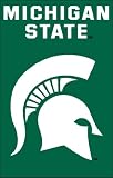AFMS Michigan State College Applique Flags - 44 x 28