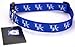 Blue Kentucky Wildcats Ribbon Dog Collar - Large