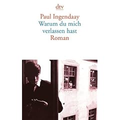 Warum du mich verlassen hast: Roman
