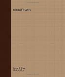 Indoor Plants Reviews 41 XtzZgzRL. SL160 Indoor Plants Reviews