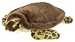 Wild Republic Signature Sea Turtle 8