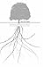 The Drive Progress in Man: ADHD and Dyslexia in Context