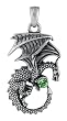 Dragon Pendant with Peridot Crystal - Stainless Steel - 2'' Height