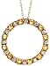 10k White Gold 18 Chain & 11/16 (18mm) tall Circle of Life Pendant, w/ Round Brilliant Diamonds & Citrine Stones