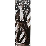 (27x77) David Bowie Door POSTER LIFE SIZE Aladdin Sane Low