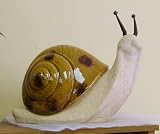 Ceramic and Terra Cotta Handcrafted Snail Garden Statuary