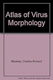 Virus morphology