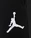 Nike Jordan Varsity Mens Joggers / Pants