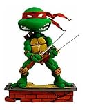 TMNT Teenage Mutant Ninja Turtles NECA Leonardo Bobble Head KnockerIMAGE