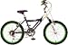 Kawasaki KX20G Girl's 20- Inch Bicycle, Purple