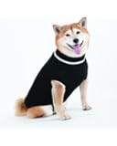 Fashion Pet Lookin Good Classic Cable Sweater for Dogs, X-Large, Black