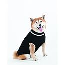 Fashion Pet Lookin Good Classic Cable Sweater for Dogs, Large, Black