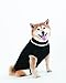 SPOT Ethical Products Fashion Pet Classic Cable Sweater | Dog Sweater | Leash Hole | Stylish Turtleneck Design | 100% Acrylic , Warm and Comfortable | Black | Medium | By Ethical Pet