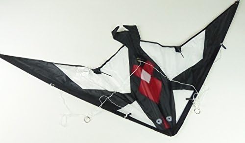 Leisure Way, Wind Slicer, Sports Kite, Two Line Stunt Performing Kite, Delta Style, Wind Slicer Design, 45" x 19", w/Starter Line