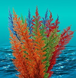 Natures Image Aqua Fern Rainbow Color Medium 6 in Aquarium Plant
