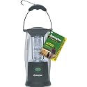 Remington  High-performance 4D-size, 6 Watt LED Area Lantern