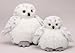 Unipak White Snow Owl Baby Plumpee Plush Toy 7 H