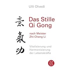 Das Stille Qi Gong...nach Meister Zhi-Chang Li: Vitalisierung und Harmonisierung der Lebenskr�fte