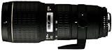APO 100-300mm F4 EX DG HSM (������� AF)