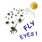 Fly Eyes: Cool Facts about the Eye of the Fly to Impress Your Parents, Gross Out Your Little Sister, and Amaze Your Friends (A Picture Book for Readers Aged 8 and Up)