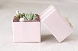 solxsol �����A�� Pink box S 10913