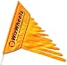 TerraTrike Safety Flag