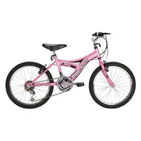 20 MTB, Hi-Ten Steel Frame, 12-SPD Girls Bicycle