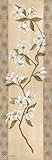 IMAGE OF Asian White Cherry FINEST BRAND CANVAS Print With Added Heavy BRUSHSTROKES Angela Ferrante 8x20