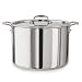 All-Clad Stainless-Steel Stockpot