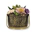 Door Knocker - Nantucket Basket (Brass) (3.75