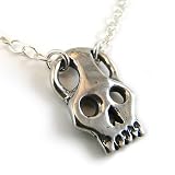 Sterling Silver Skull Pendant with Chain Necklace